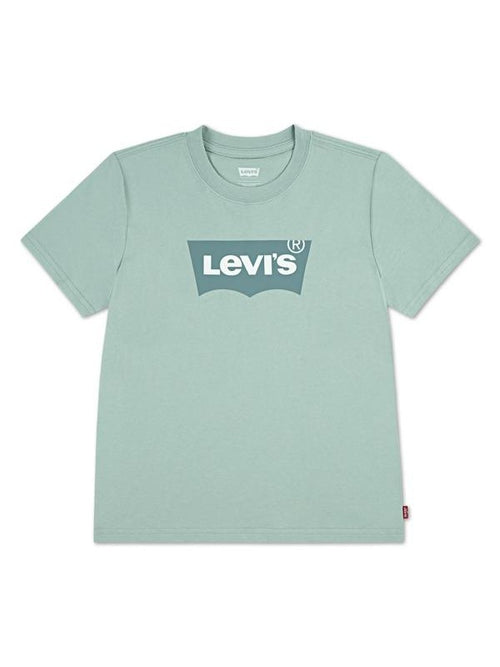 BATWING T-SKJORTE - Cameo Green Levis