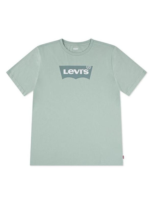 BATWING T-SKJORTE - Cameo Green Levis