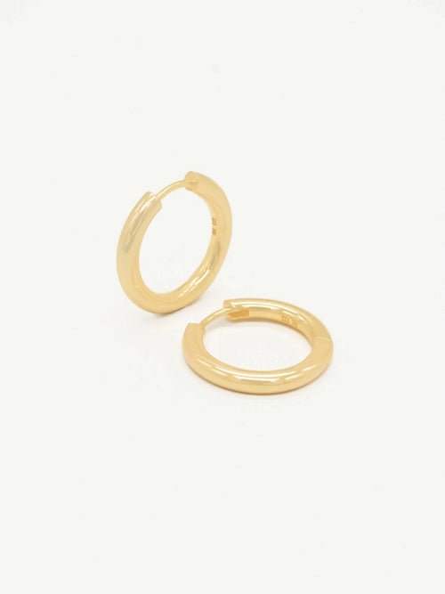 Perfect hoops l - gold Who Is She