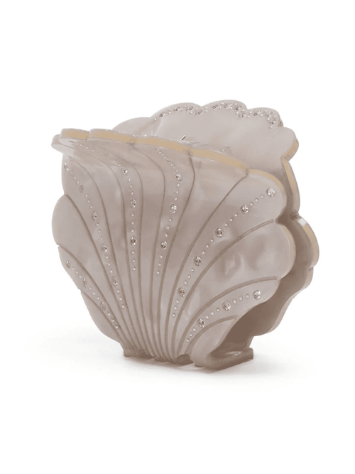 Calico Scallop Shell Mini - Spirit Sui Ava