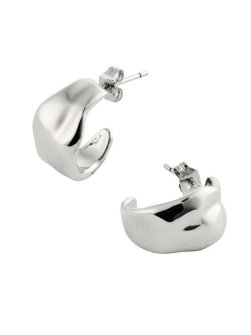 All yours øredobber - Silver Plated Sparv Accessories